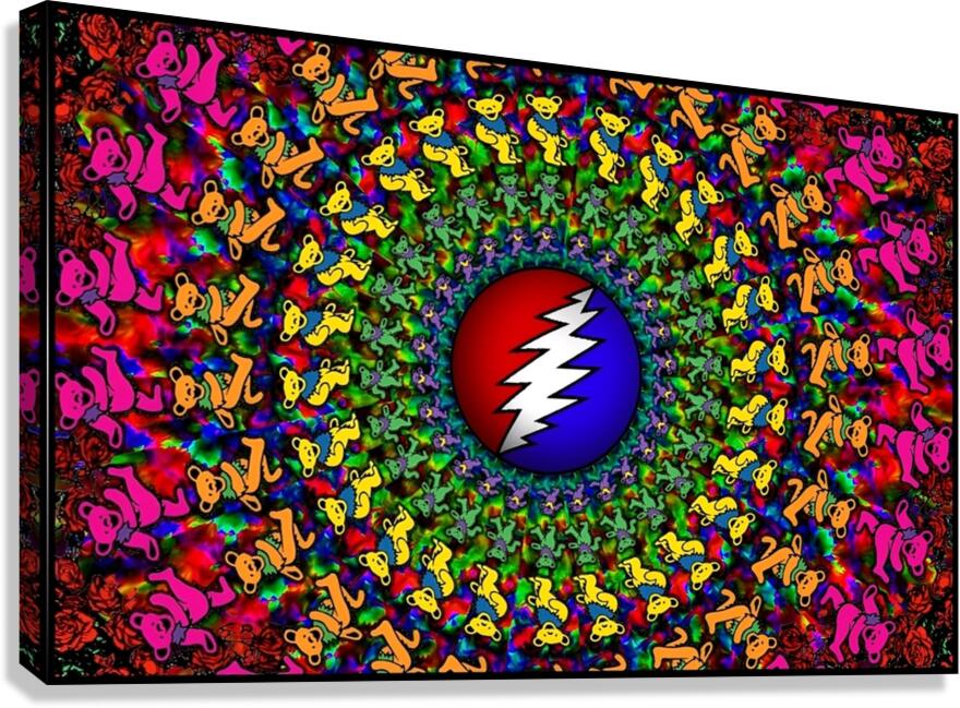 Grateful dead deadhead pattern background Canvas Print