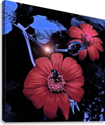 Twilight Hour Canvas Print
