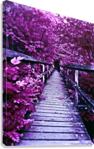 Lavender Bridge Canvas Print