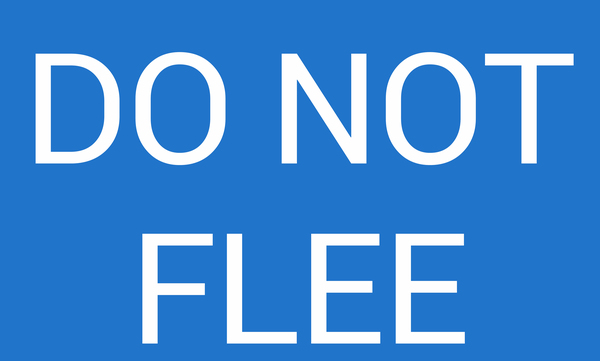 DO NOT FLEE blue by Lenie Blue by Lenie Blue