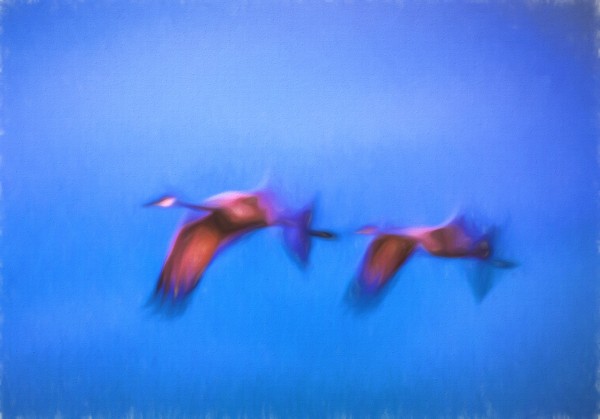 Flight Print