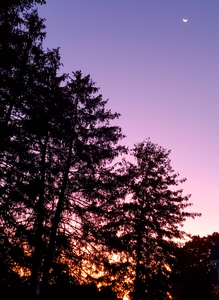 Rising Sun