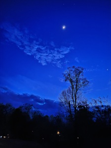 Backyard Night