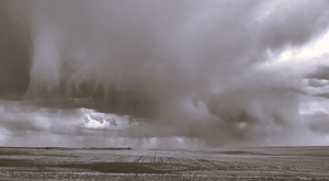 SD Storm 3