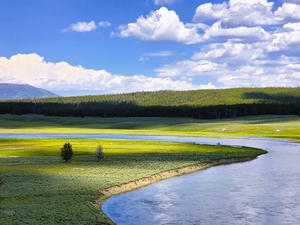 Yellowstone 11