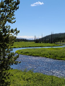Yellowstone 2