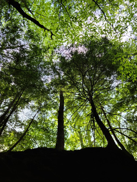 Hocking Hills Print