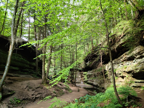 Hocking Hills 2 Print
