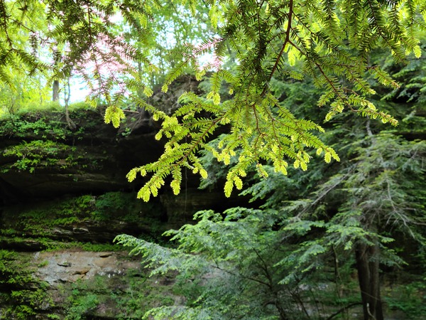 Hocking Hills 7 Print