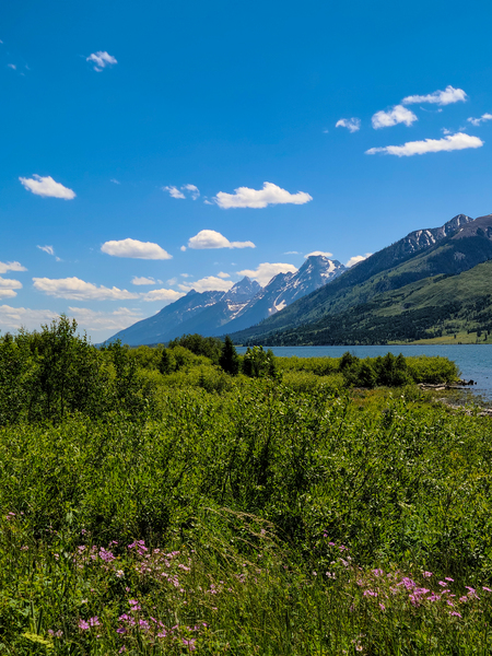 Tetons Print