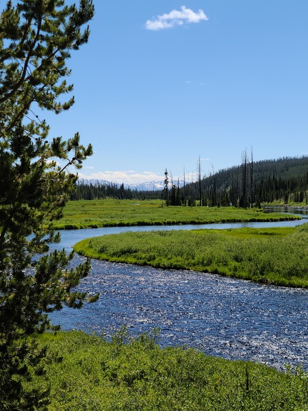 Yellowstone 2 Print
