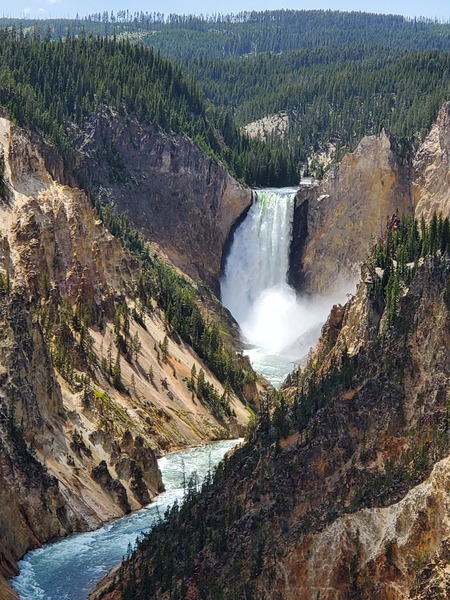 Yellowstone Waterfall Print