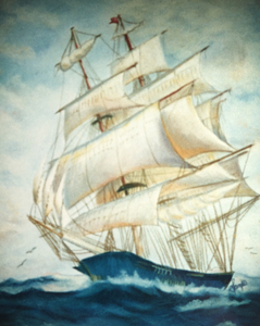 At Sea