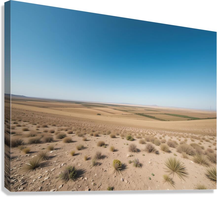 Boundless Horizon Canvas Print