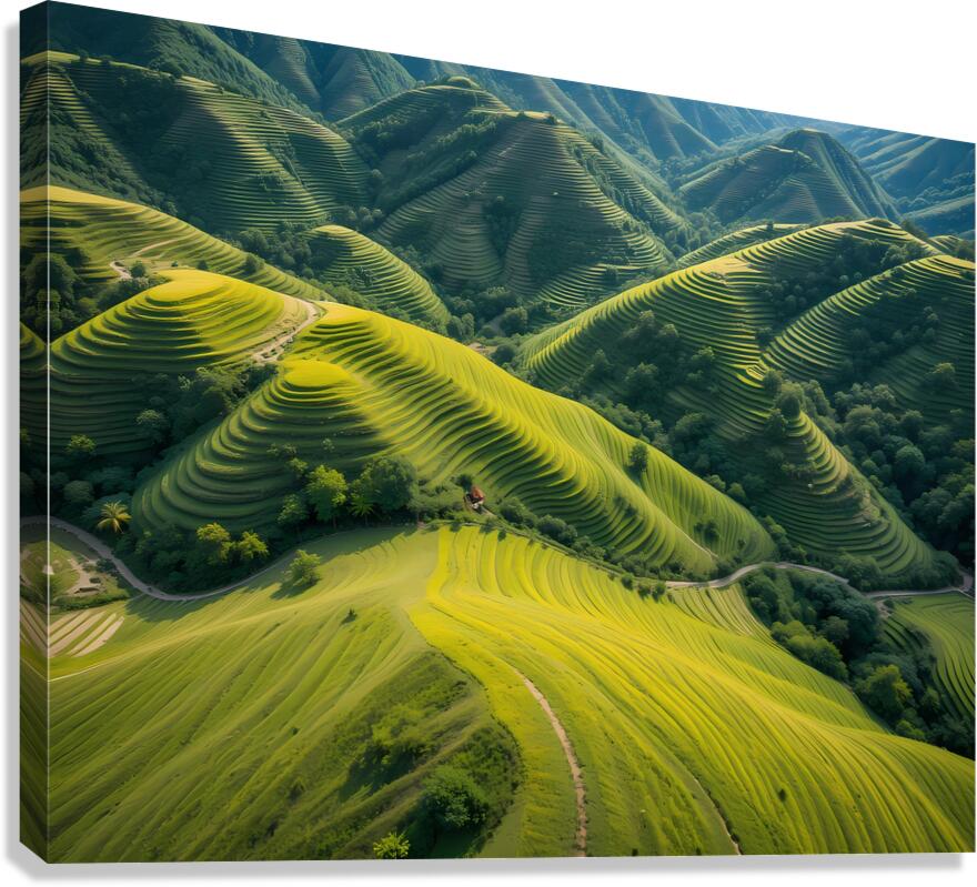  Harmony in Layers Canvas Print