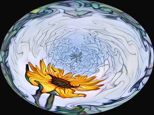 Sunflower in the egg