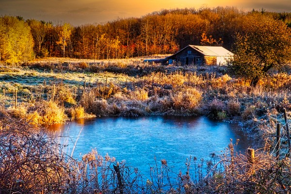 GoodMorningFall Print