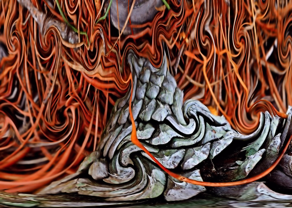 Lianas Print