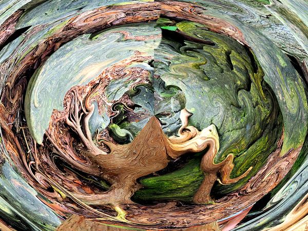 The Goblet of the Forest by Flodor