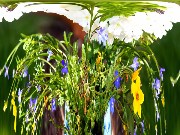 Flowers Print