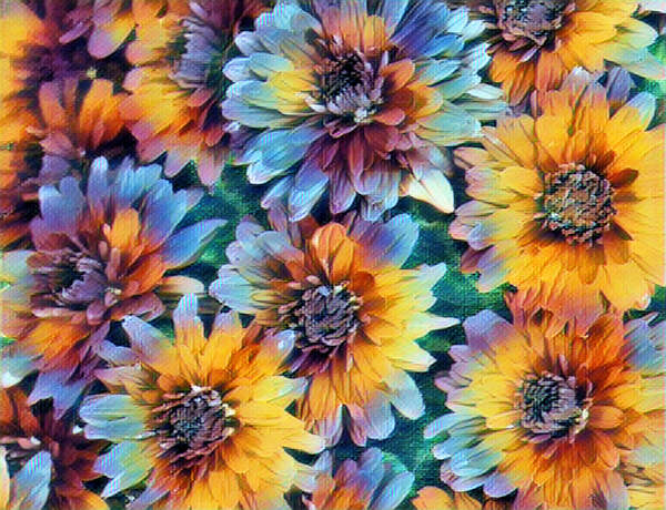 Flowers II Print
