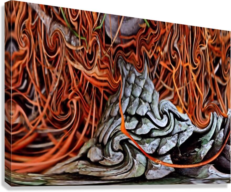Lianas Canvas Print