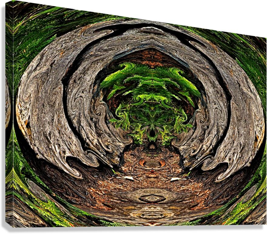 Jungle Gate Canvas Print