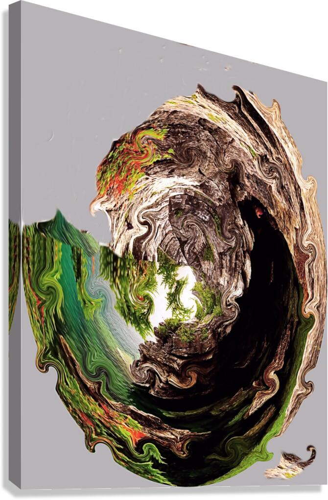 Broken dreams Canvas Print