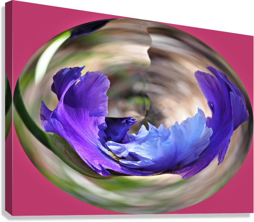 Iris in a crystal bowl Canvas Print