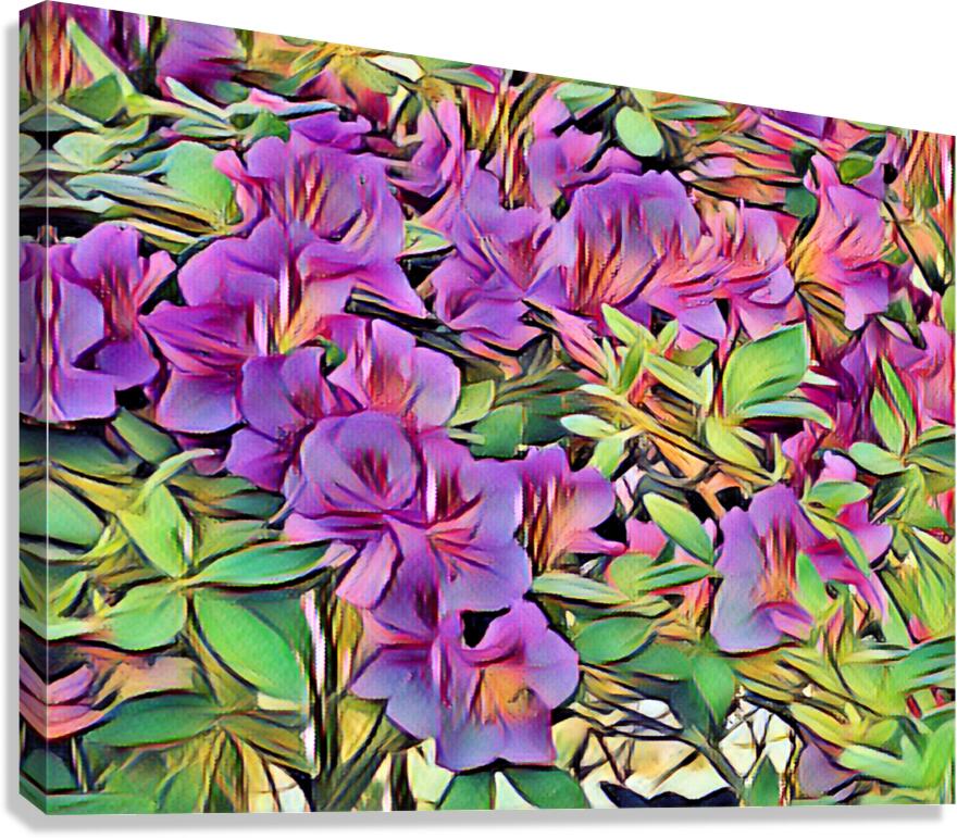 Azaleas Canvas Print