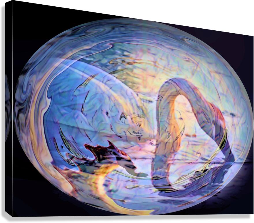 Swan in the egg Canvas Print