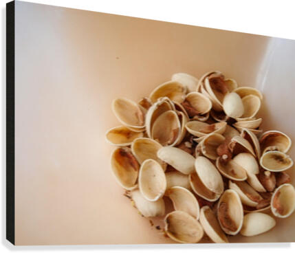 pistachio shells Canvas Print