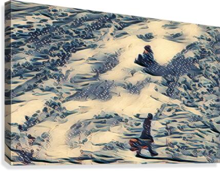 Winter Canvas Print