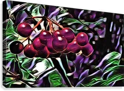 BerriesII Canvas Print