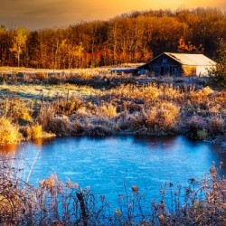 GoodMorningFall