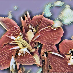 flower new