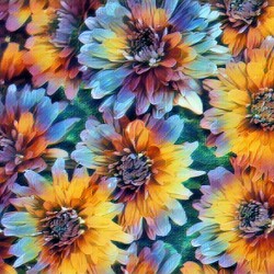 Flowers II