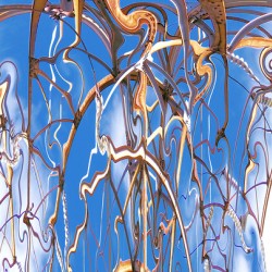Among the Sky Roots