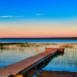 Dock