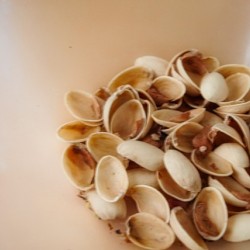 pistachio shells