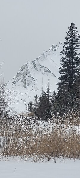 received 953094186849180 Print