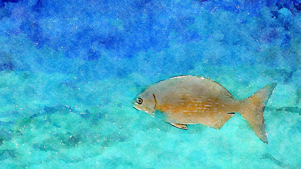 Digital Watercolor of Tropical Reef Fish by Ken Desloover