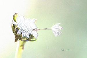 Hang On - Faux Embossed