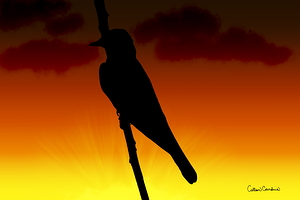 Mockingbird Silhouette