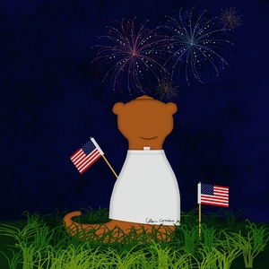 Oliver The Otter Watching Fireworks