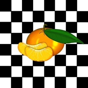 TANGERINE ON CHECKERS