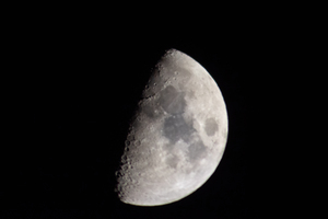 P1266762