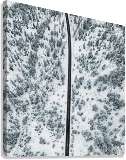 DJI 0403 Canvas Print