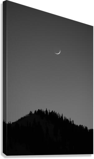 P1111432 Canvas Print