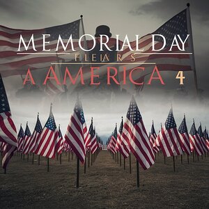 a powerful and touching memorial day scene set in
